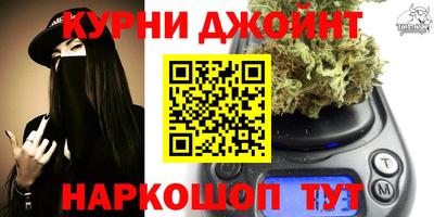 гидра Гусев