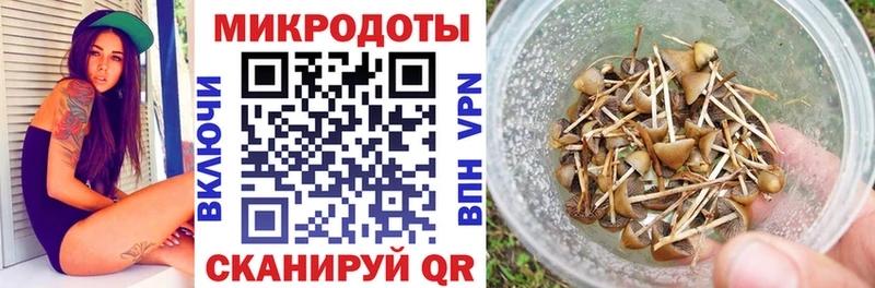 купить закладку  Псков  Псилоцибиновые грибы ЛСД 